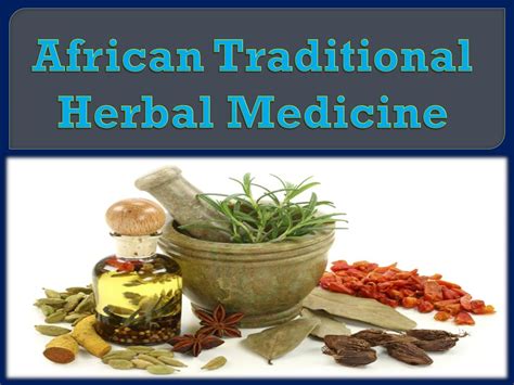 medicinal plants and herbs in africa